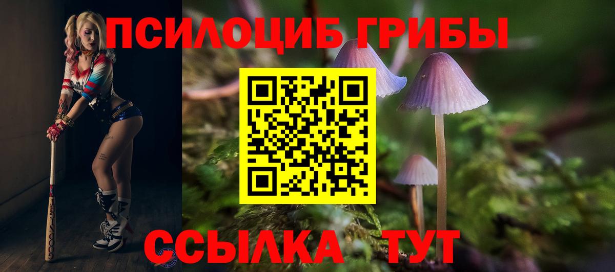Псилоцибиновые грибы ЛСД  где найти   Выкса  Вход с VPN 